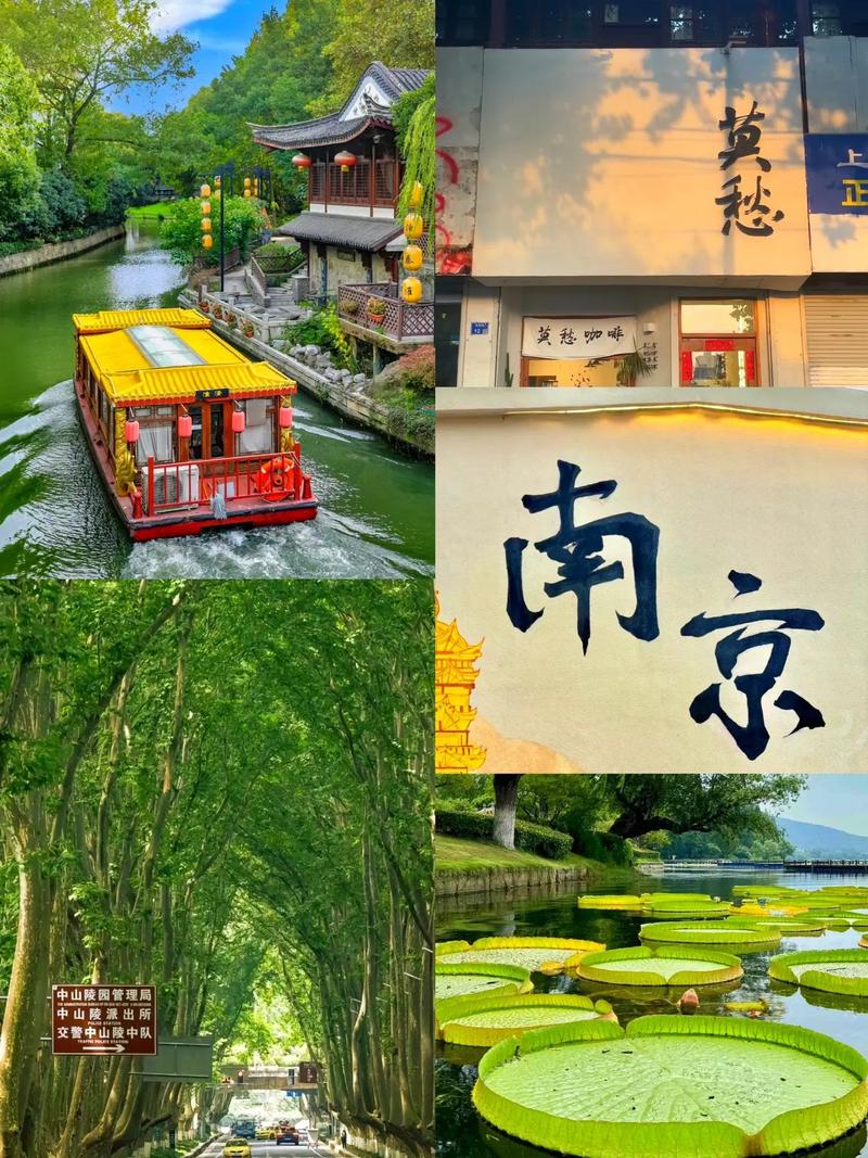 南京尊季旅游